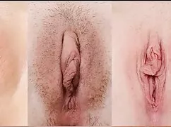 Vivian porno cartoni ...